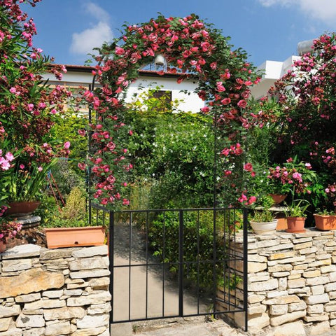 Versatile 230CM Arbour Archway with Heavy-Duty Frame in Black