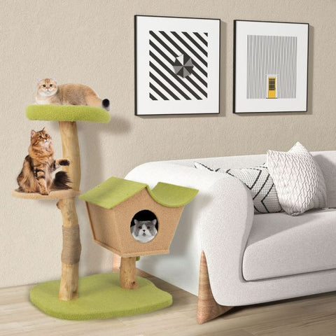 Charming Cat Play Hub